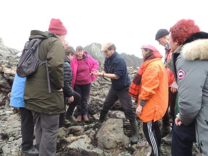 Shore exploring with a group © Keith Hiscock