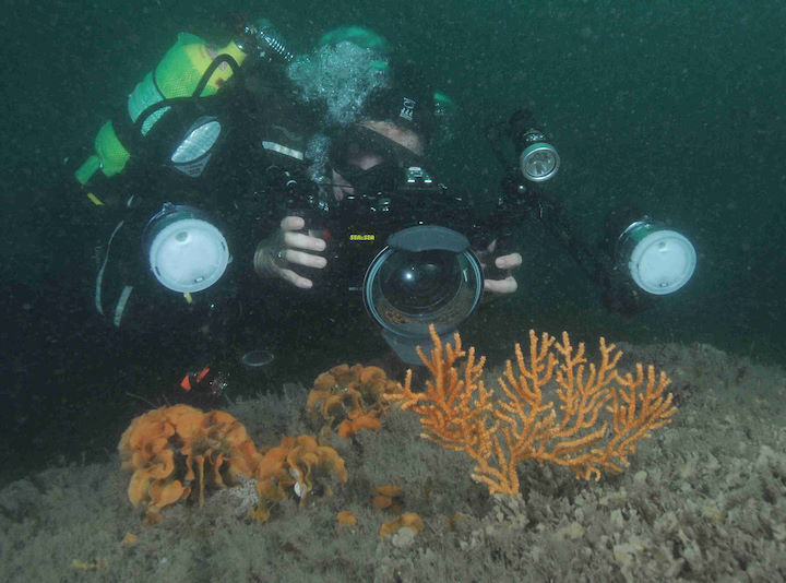 Underwater photography can be as expensive as you want it to be © Keith Hiscock