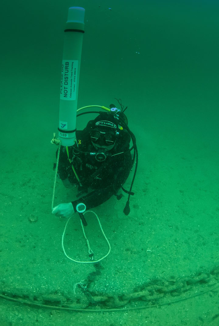 A diver from the Appledore Sub-Aqua Club recovering an F-POD recording device from 22 m depth beside the MV Robert © Mike Deaton