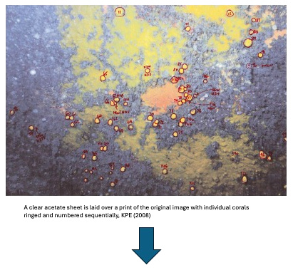 3.9.2.4K Process of identifying Lp corals 2 crp adj