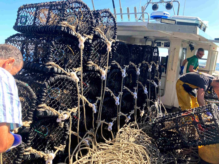 New pots were purchased for this project. Each pot (with associated rope and fittings) cost £160. Fortunately, the project was able to sell them on after the completion of the project © Robert Irving