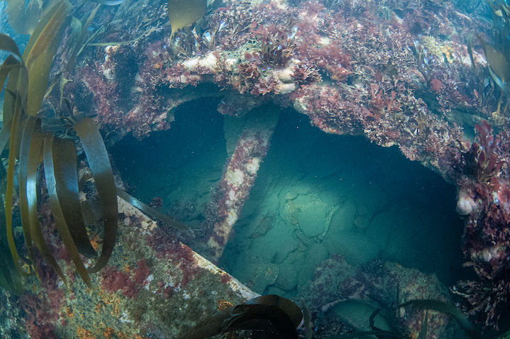 The scattered iron plates may have hideaways between them. Photo taken in May 2013 © Mike Deaton