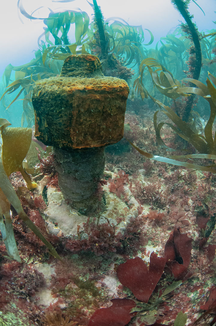 Stand-up object (uncertain ID) on wreckage of the Montagu. Photo taken in May 2013 © Mike Deaton