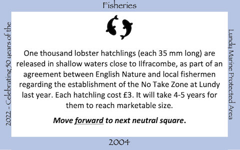 49 Fisheries Release of lobster hatchlings off mainland coast 2004