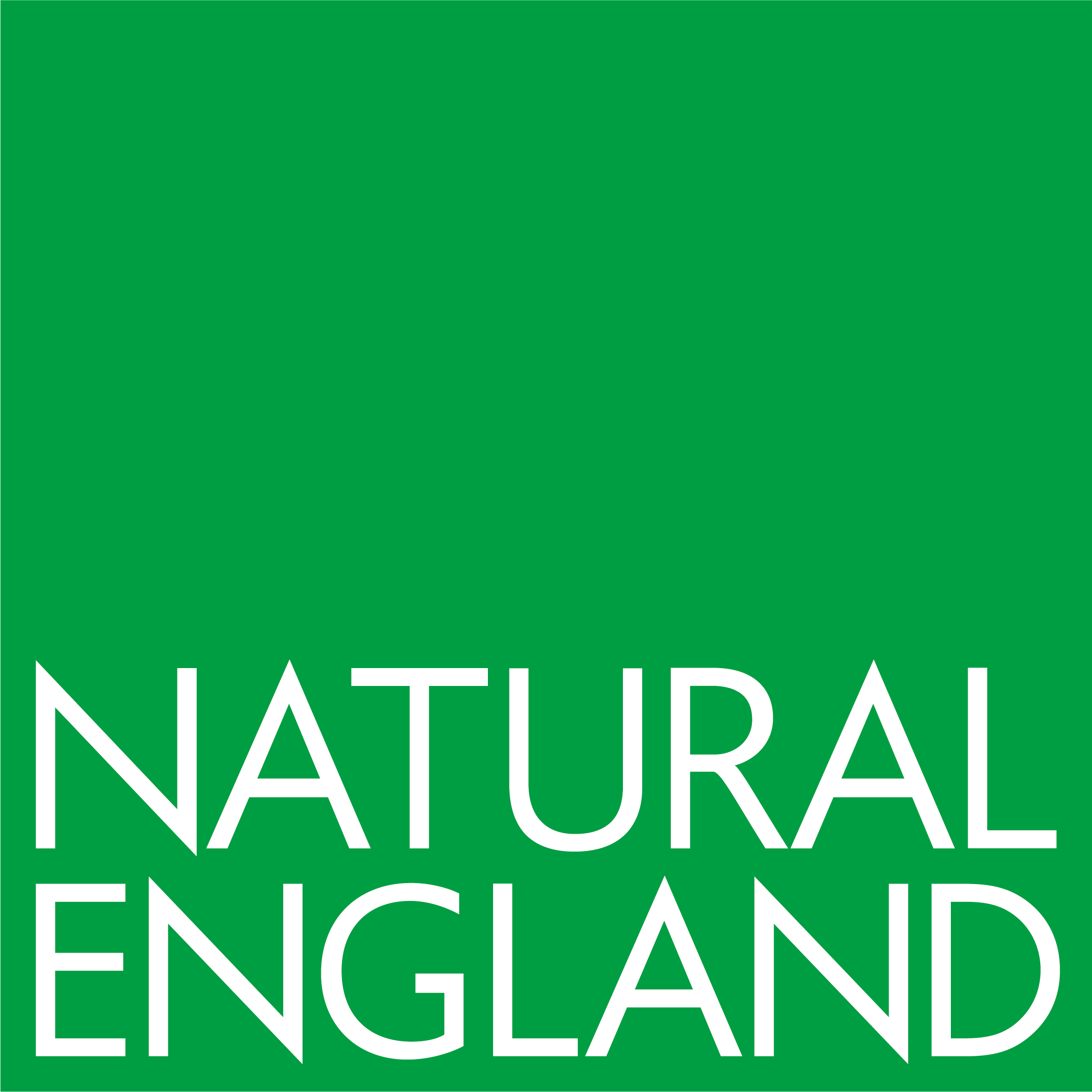 NatEng logo New Green LGE